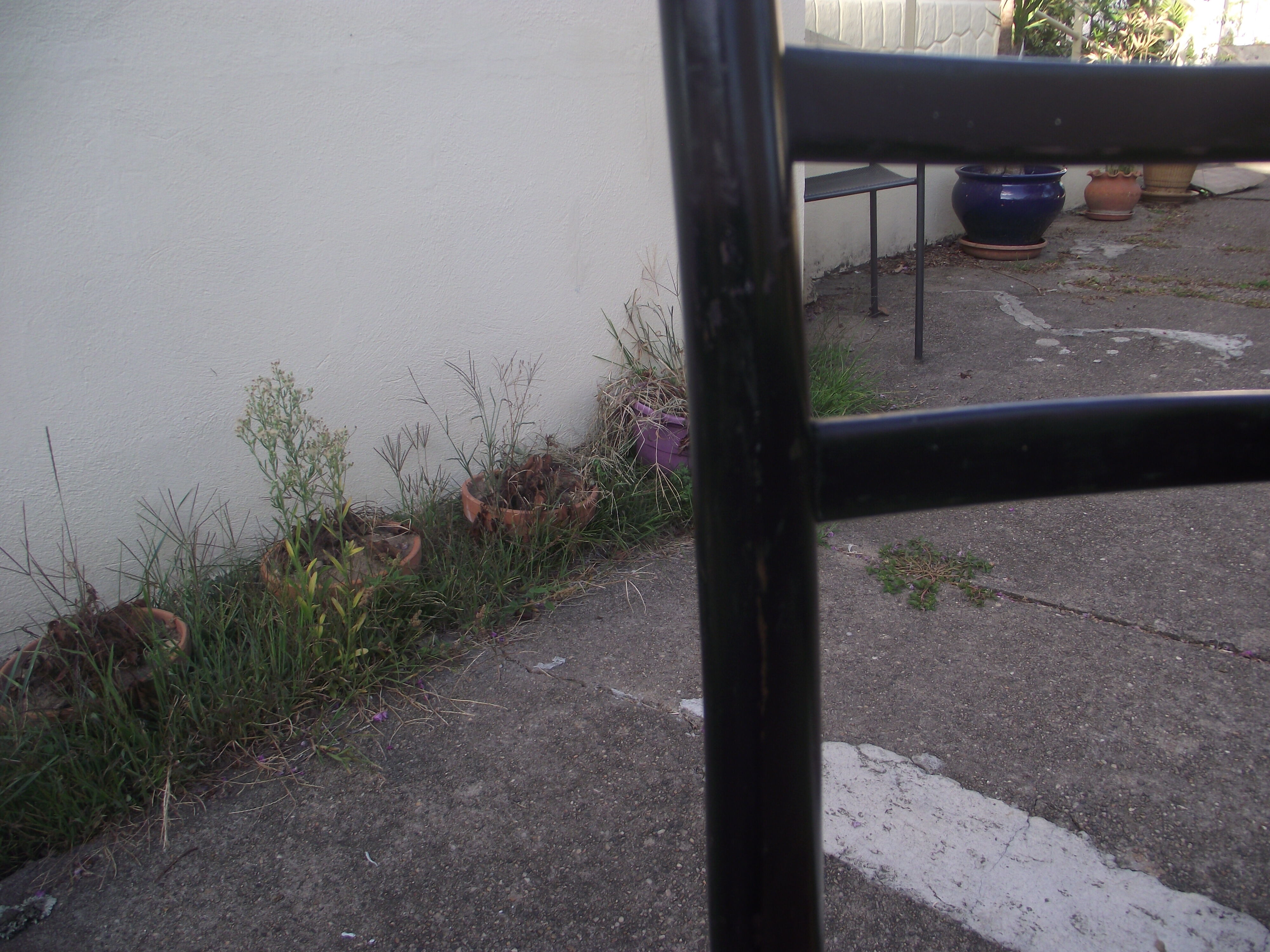 Pair of Italian design chairs 60