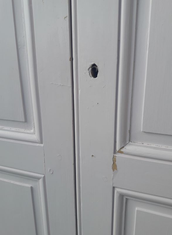 Pair of doors 229,5x110cm closet