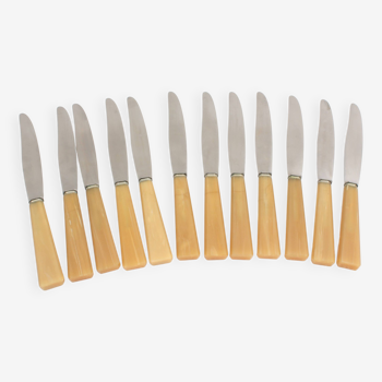 Box of 12 Apollonox knives