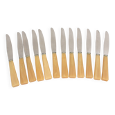 Box of 12 Apollonox knives