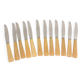 Box of 12 Apollonox knives