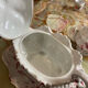 Porcelain and sugar slip tureen