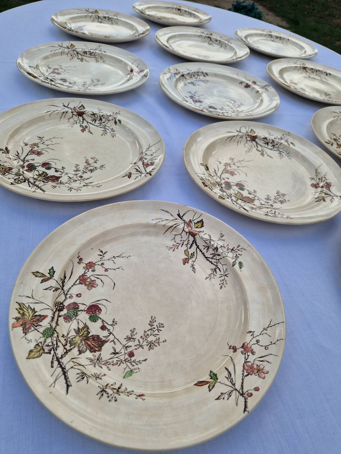Set of 12 Terre De Fer Plates Manufacture Moore & Co Model Como