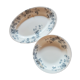 2 dishes Iron Earth
