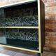 Display case, 1970s Poland, renovated. Black and gold.
