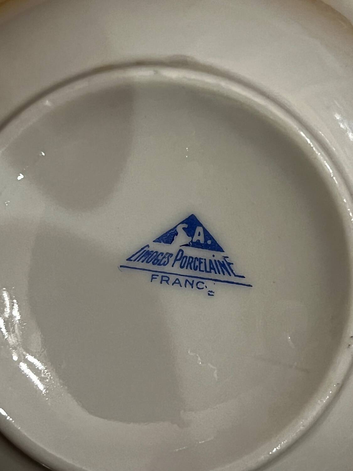 Limoges Porcelain Tea Cup