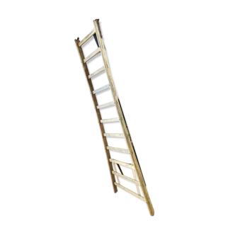 Ladder