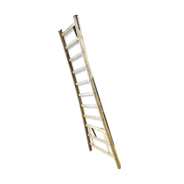 Ladder