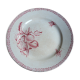 Flat plate Iron Earth