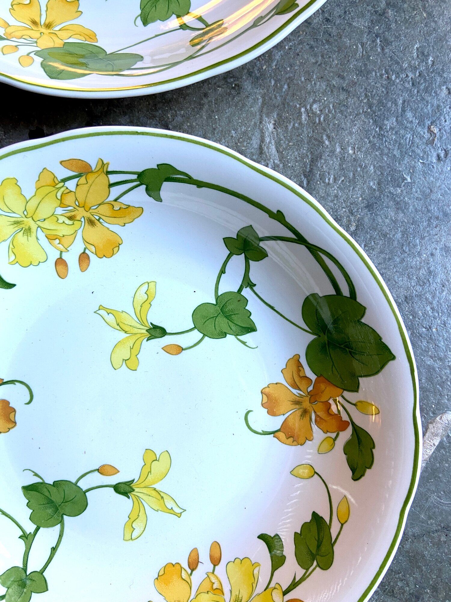 Pair of Villeroy & Boch hollow plates in glazed earthenware model Geranium