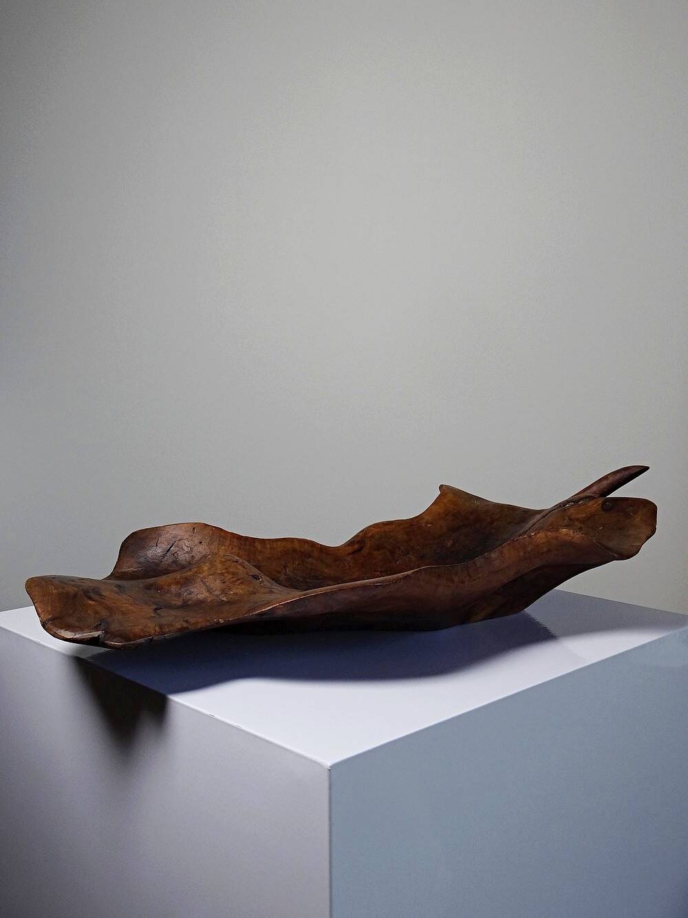 Large monoxyl bowl in dark raw olive wood from the 50s