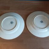 Plates earth of iron