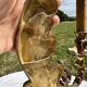 Magnificent 19th Century Louis XV Style Gilt Bronze Wall Candle Holder