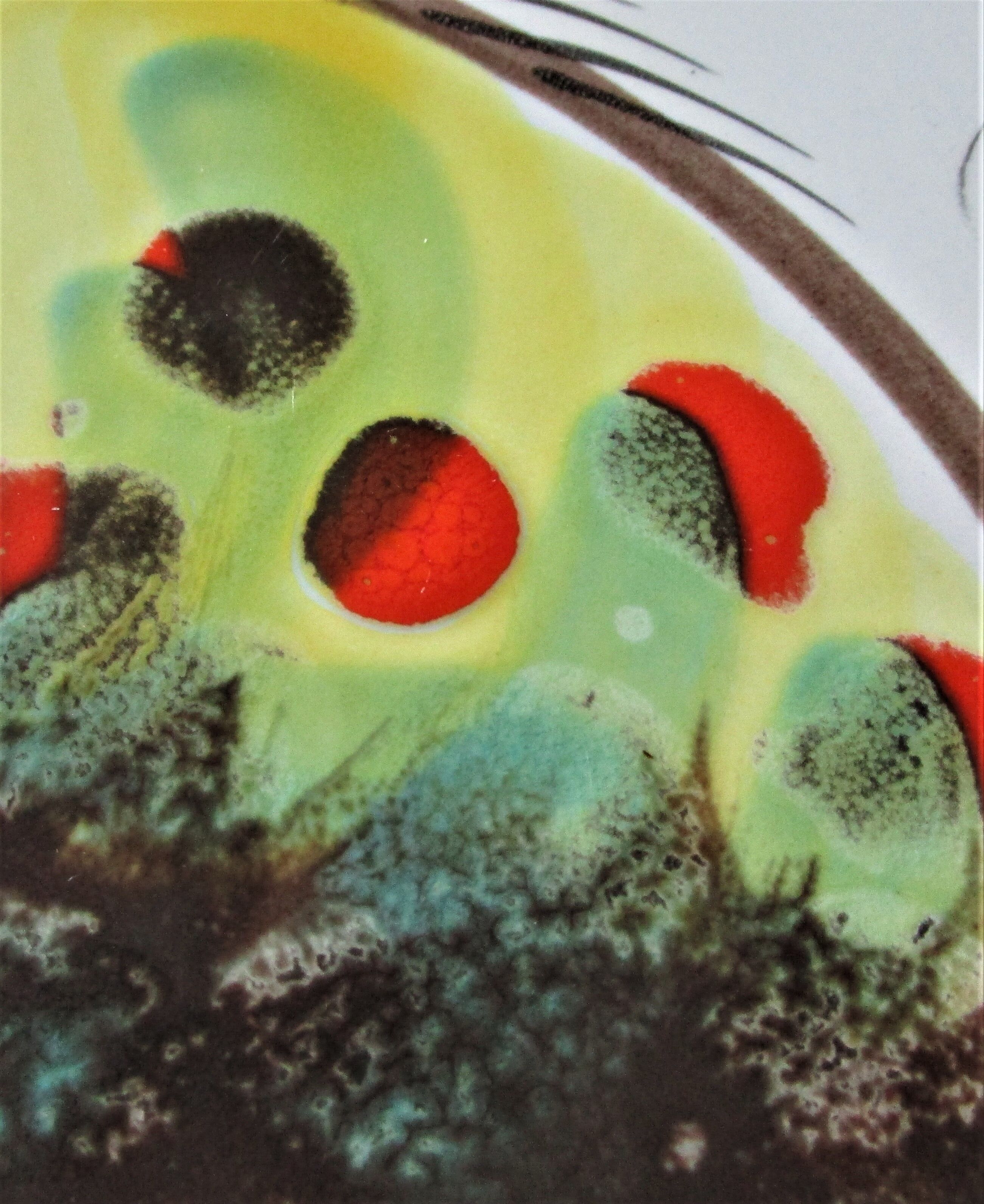 Six Pornic plates with fish and crayfish