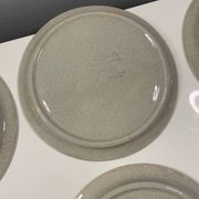 12 vintage Hollandia sarreguemine plates