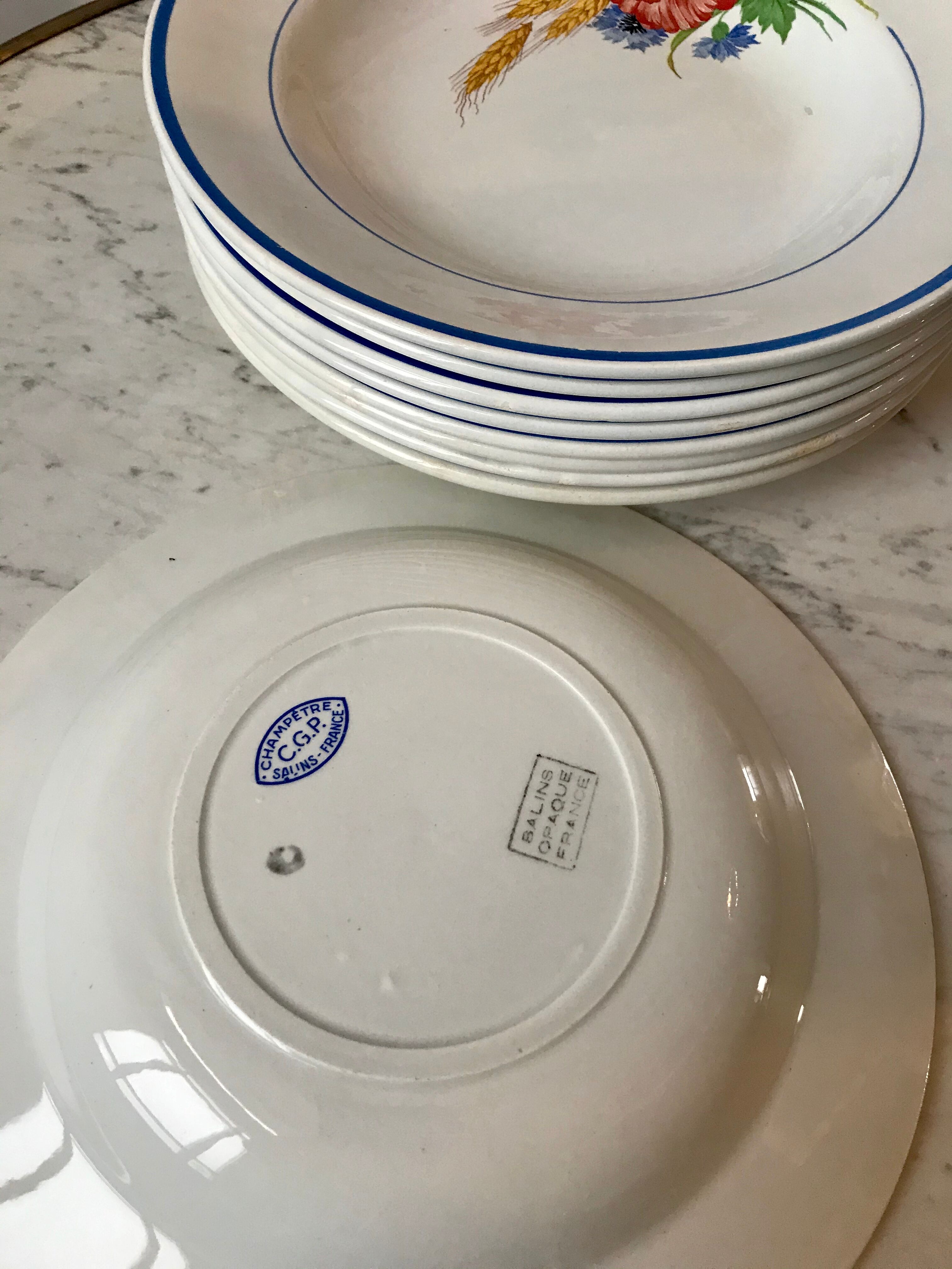 Lot of 8 hollow plates Salins model Champêtre