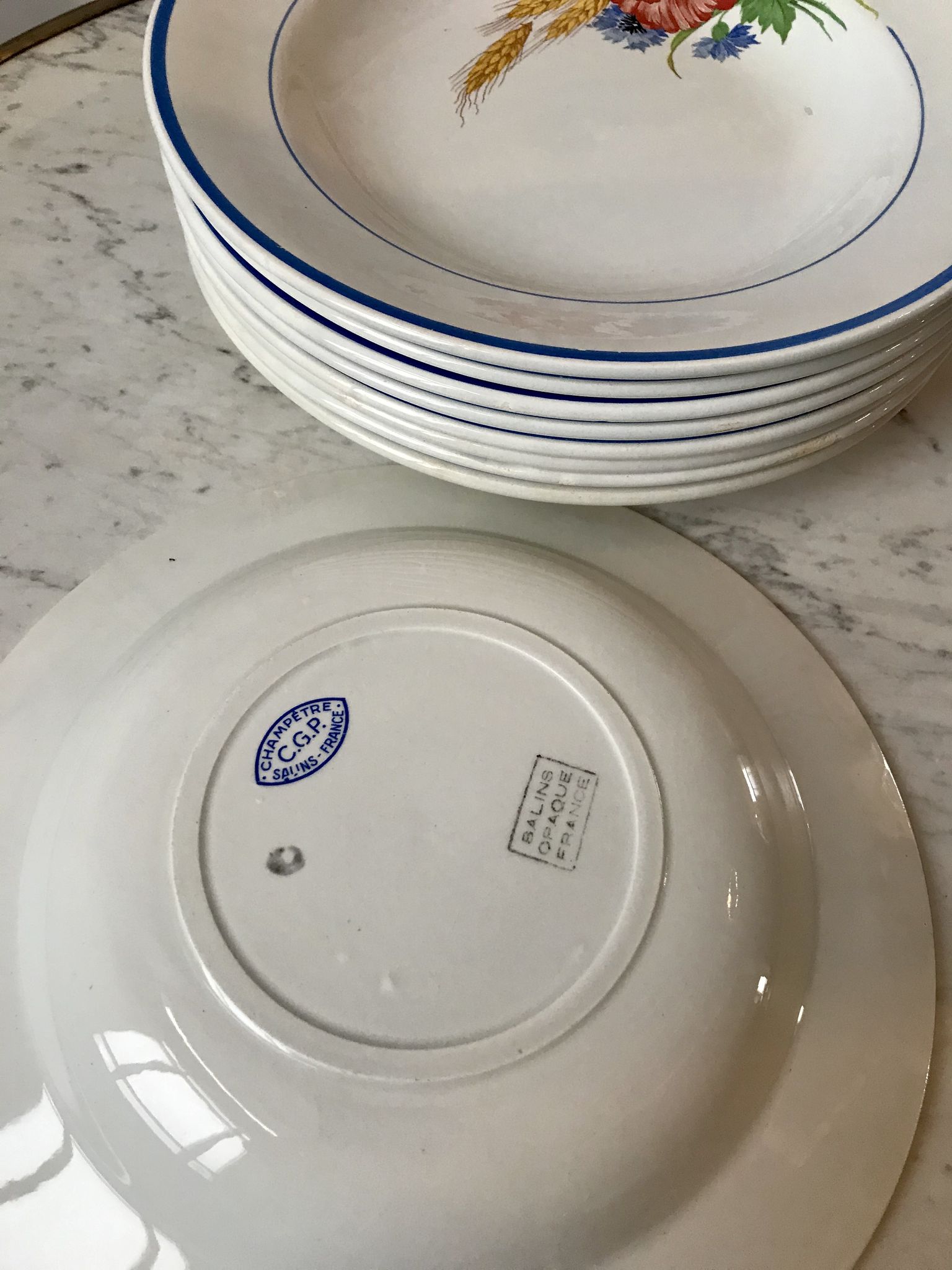 Lot of 8 hollow plates Salins model Champêtre
