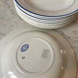 Lot of 8 hollow plates Salins model Champêtre