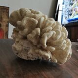 Hard white coral block, 70s