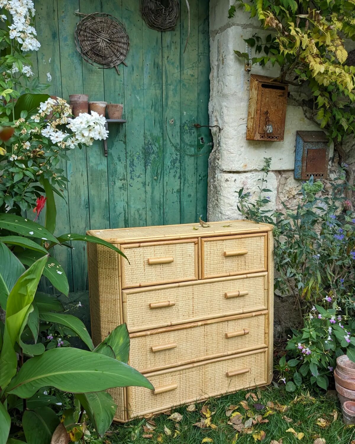 Rattan chest of drawers