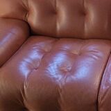 Roche Bobois leather sofa Blogger model