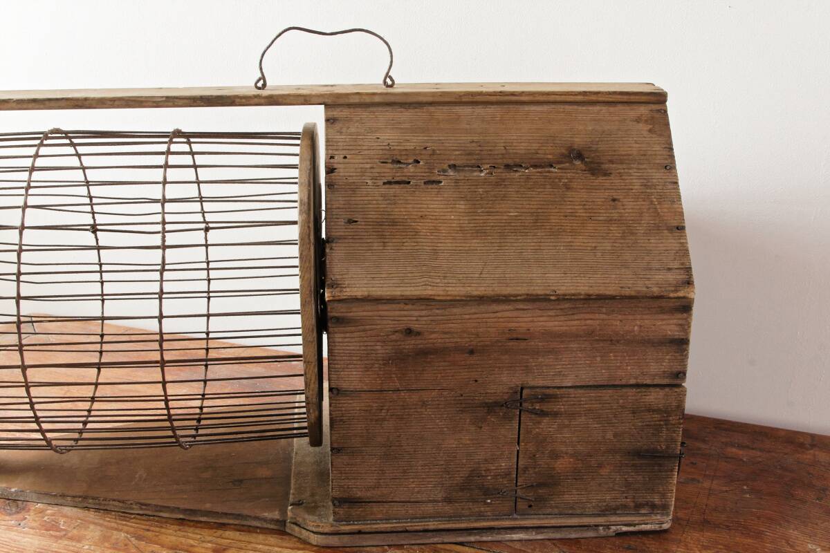 Cage à écureuil, 19ème siècle, bois et métal