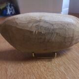 Fossil