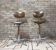 Pair of SE 68 orchestra chairs by Egon Eiermann from the 1970s.