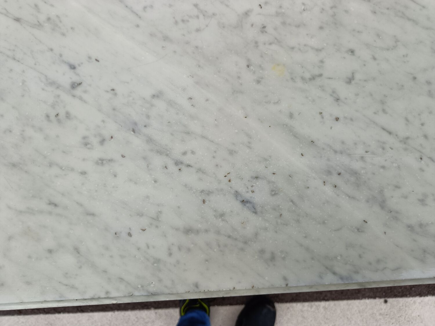 Chest of drawers style louis xvi marble top