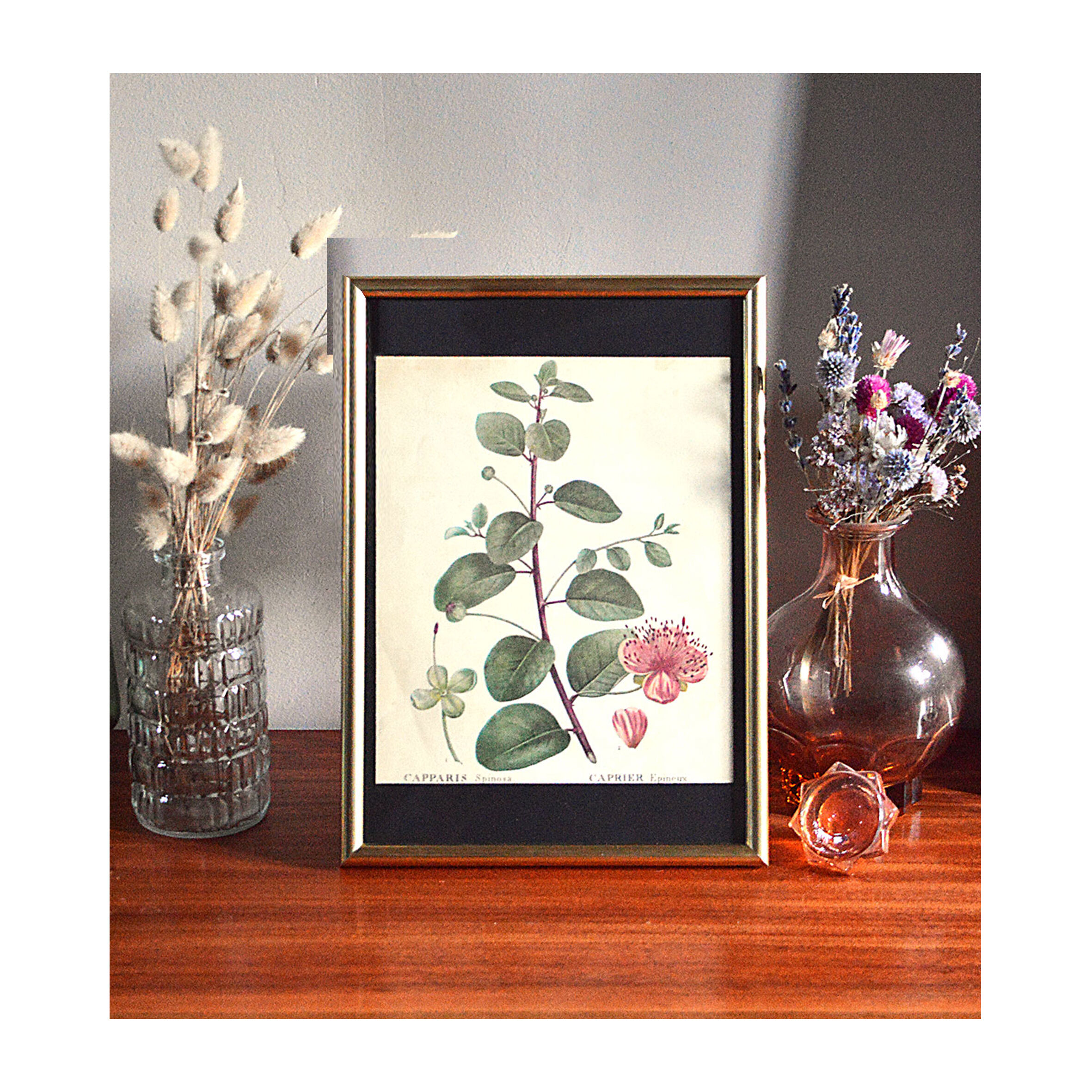 Affiche pharmaceutique encadrée