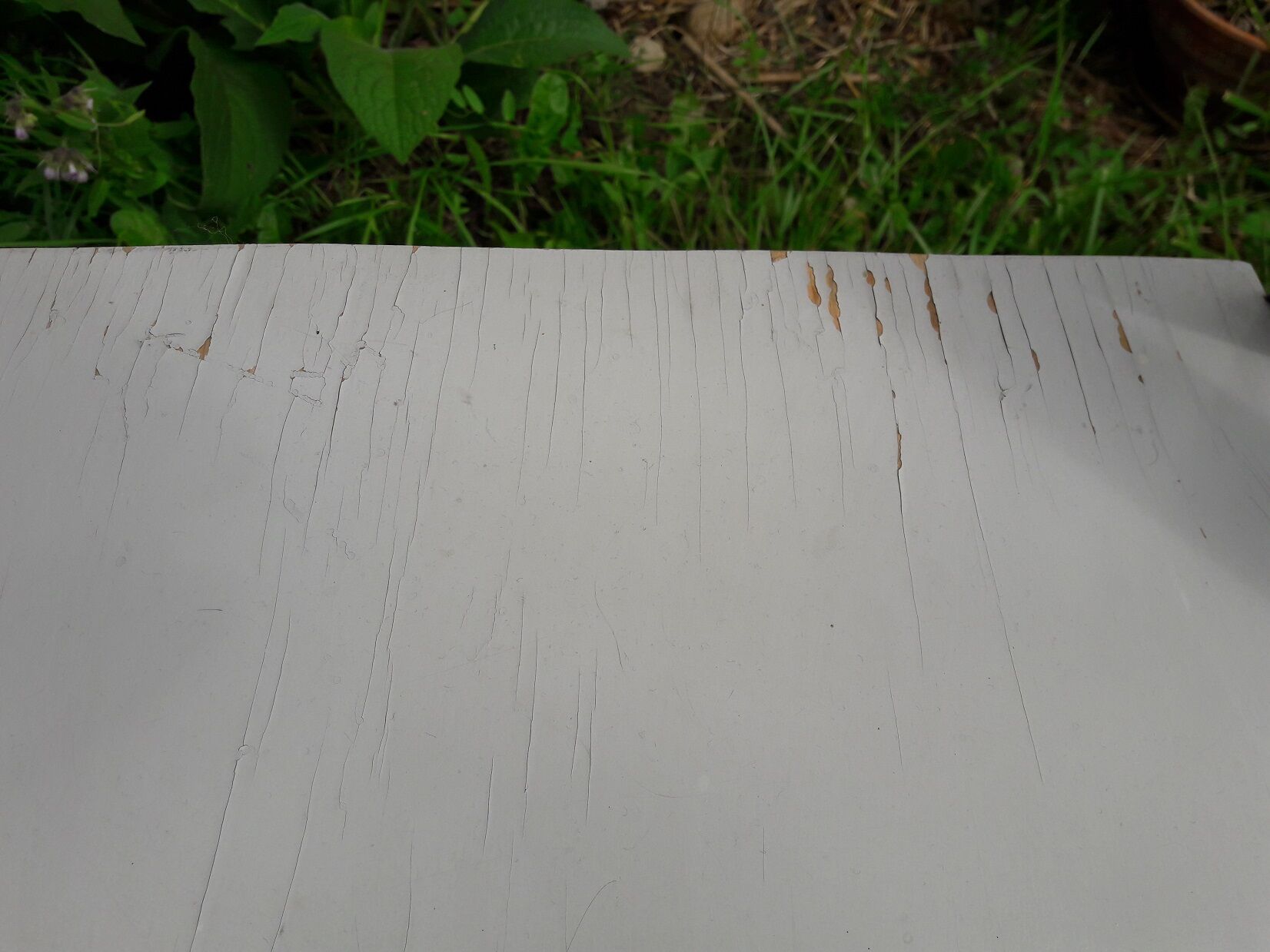 Folding chair Thonet