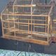 Birdcage