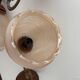 Vintage wall sconce