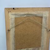 Butterflies lithograph frame