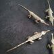 6 vintage knife rests, brass crocodiles, in excellent condition.