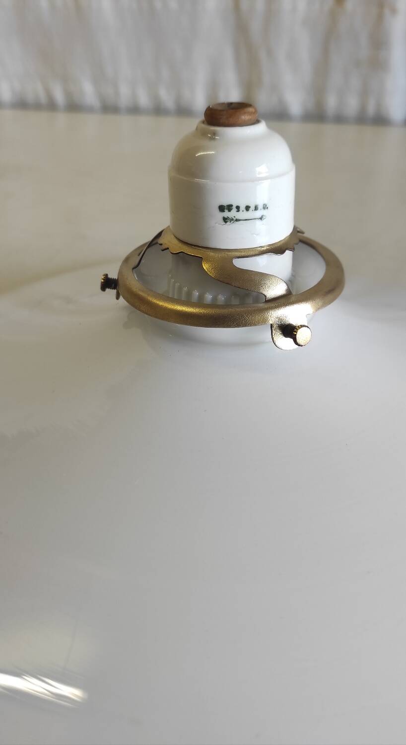 Opaline lampshade, brass claw - mid. 20th century