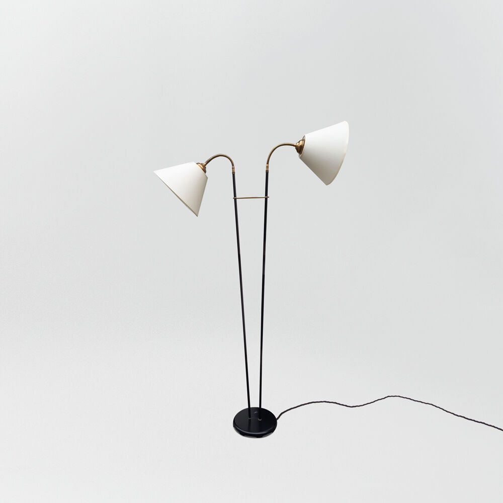 Floor lamp with two shades