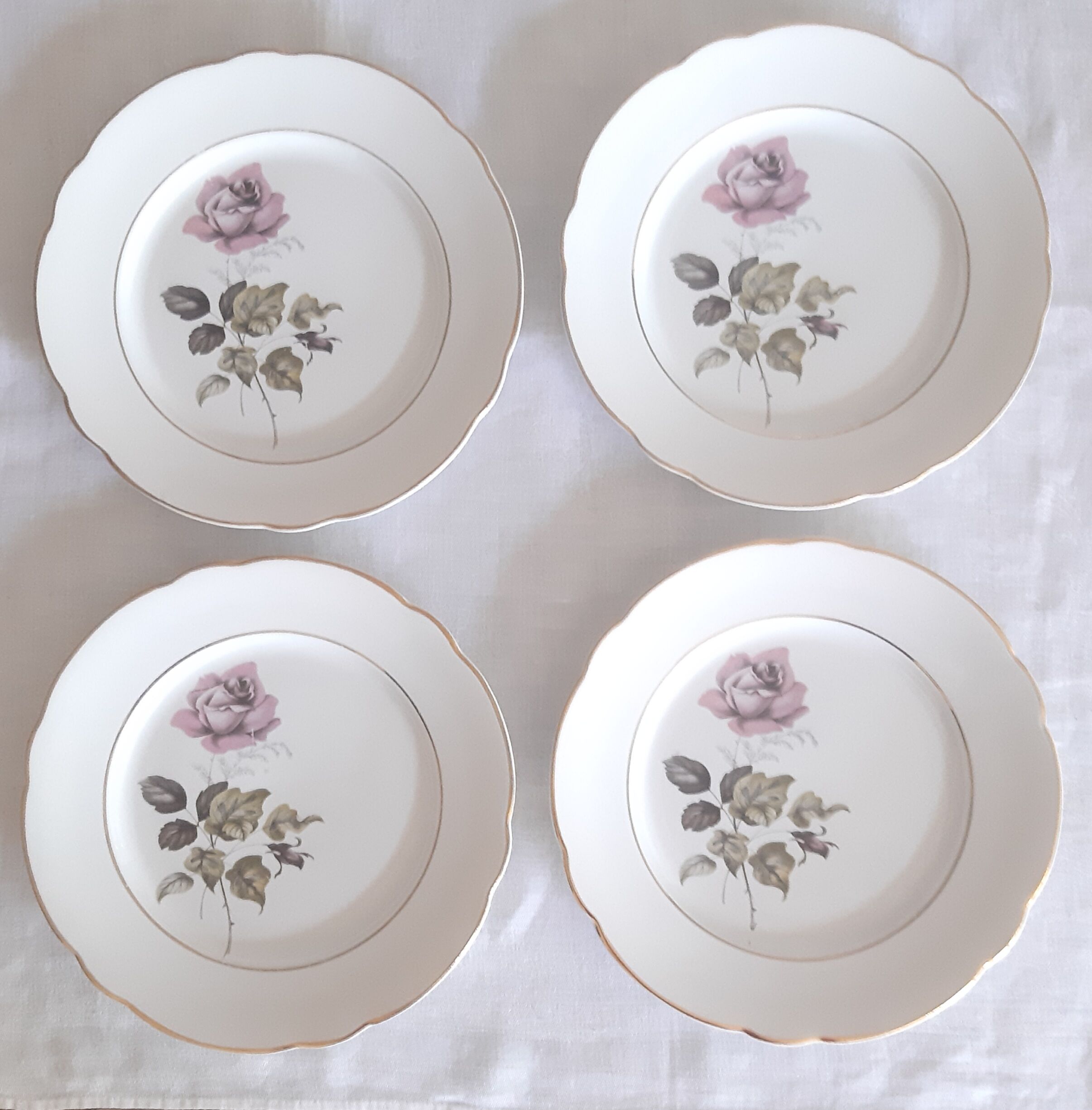 Flat plates Lunéville Badonvillier