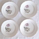 Flat plates Lunéville Badonvillier