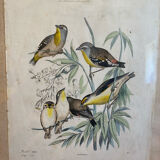 Set of decorative frames