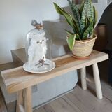 Small teak bench