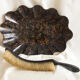 Collects crumbs flowery decoration Napoleon lll