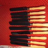 10 Ivory Handled Knives Monogram