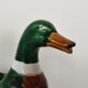 Duck pitcher