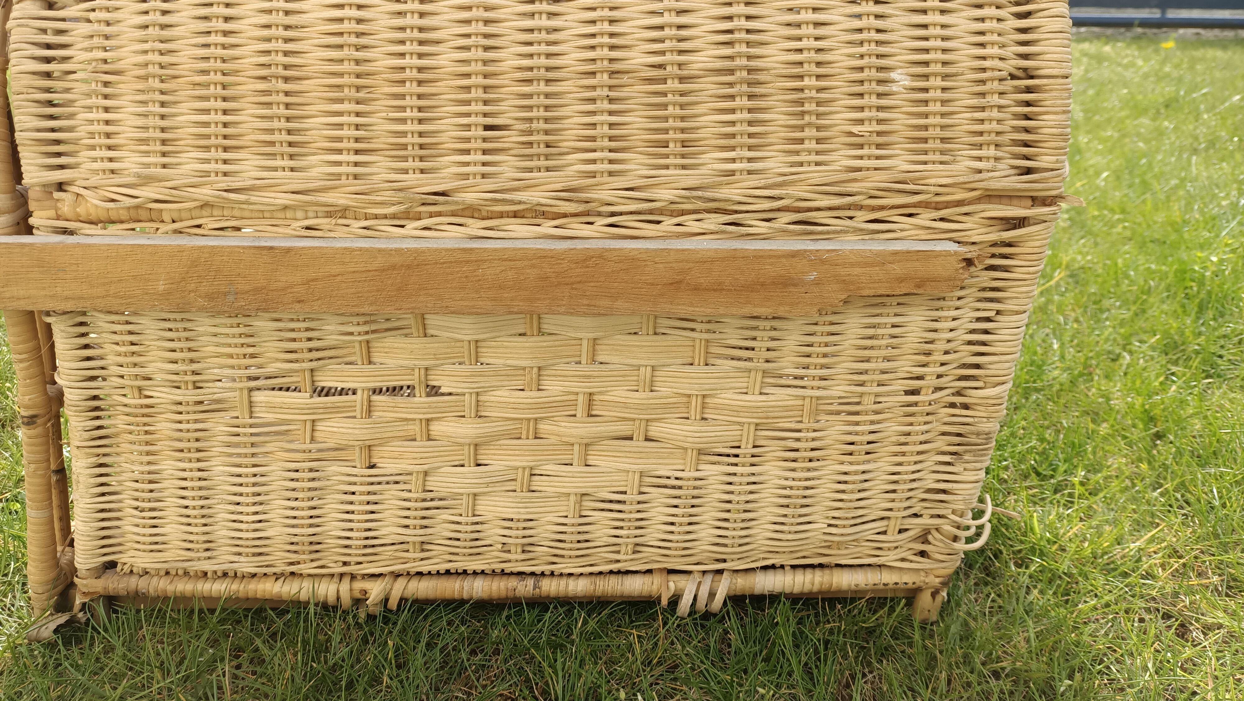 Cat transport basket