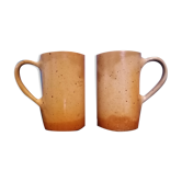 Sandstone chops