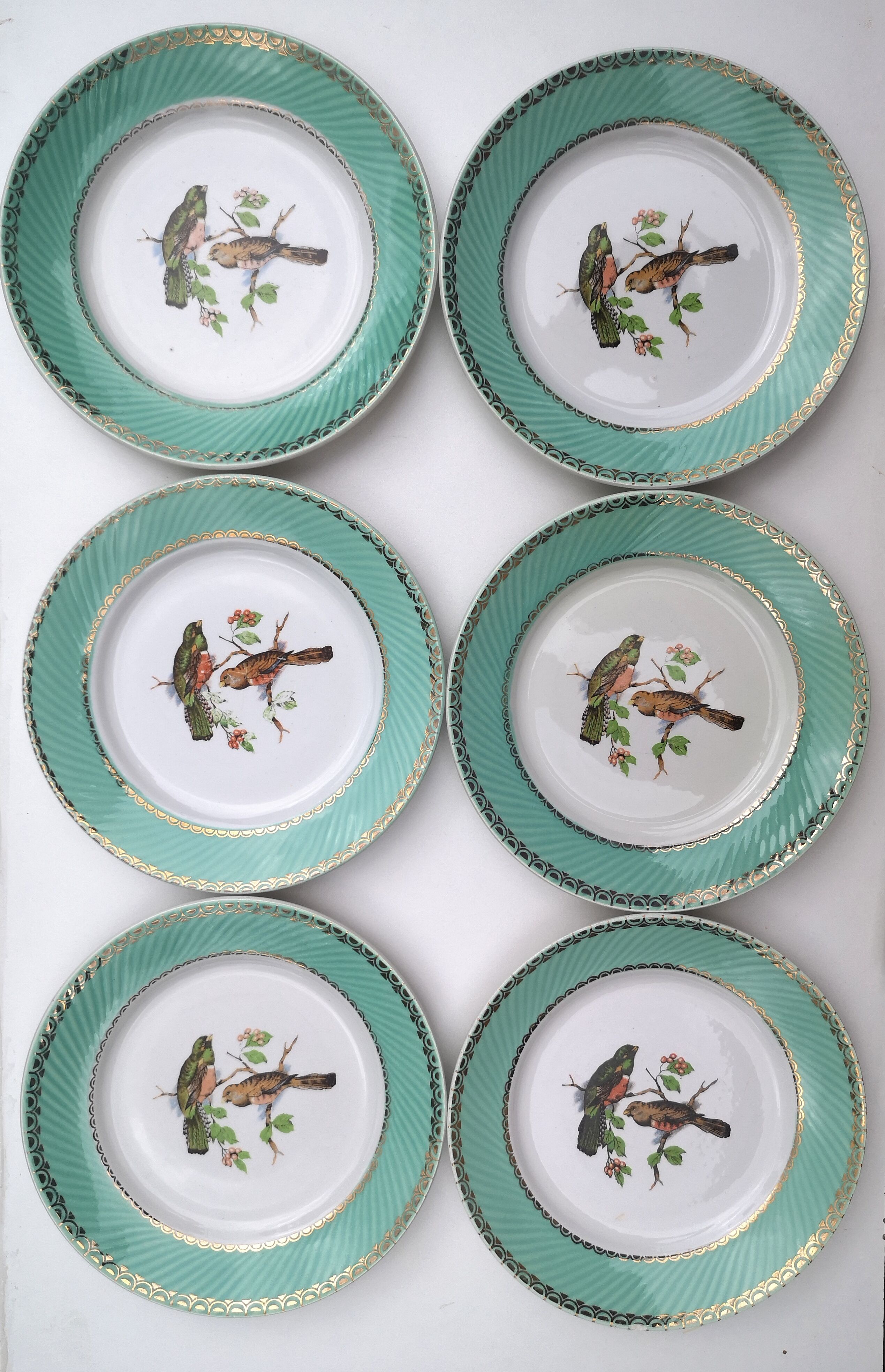 Flat plates "birds" badonviller