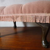 Rests English feet in velvet