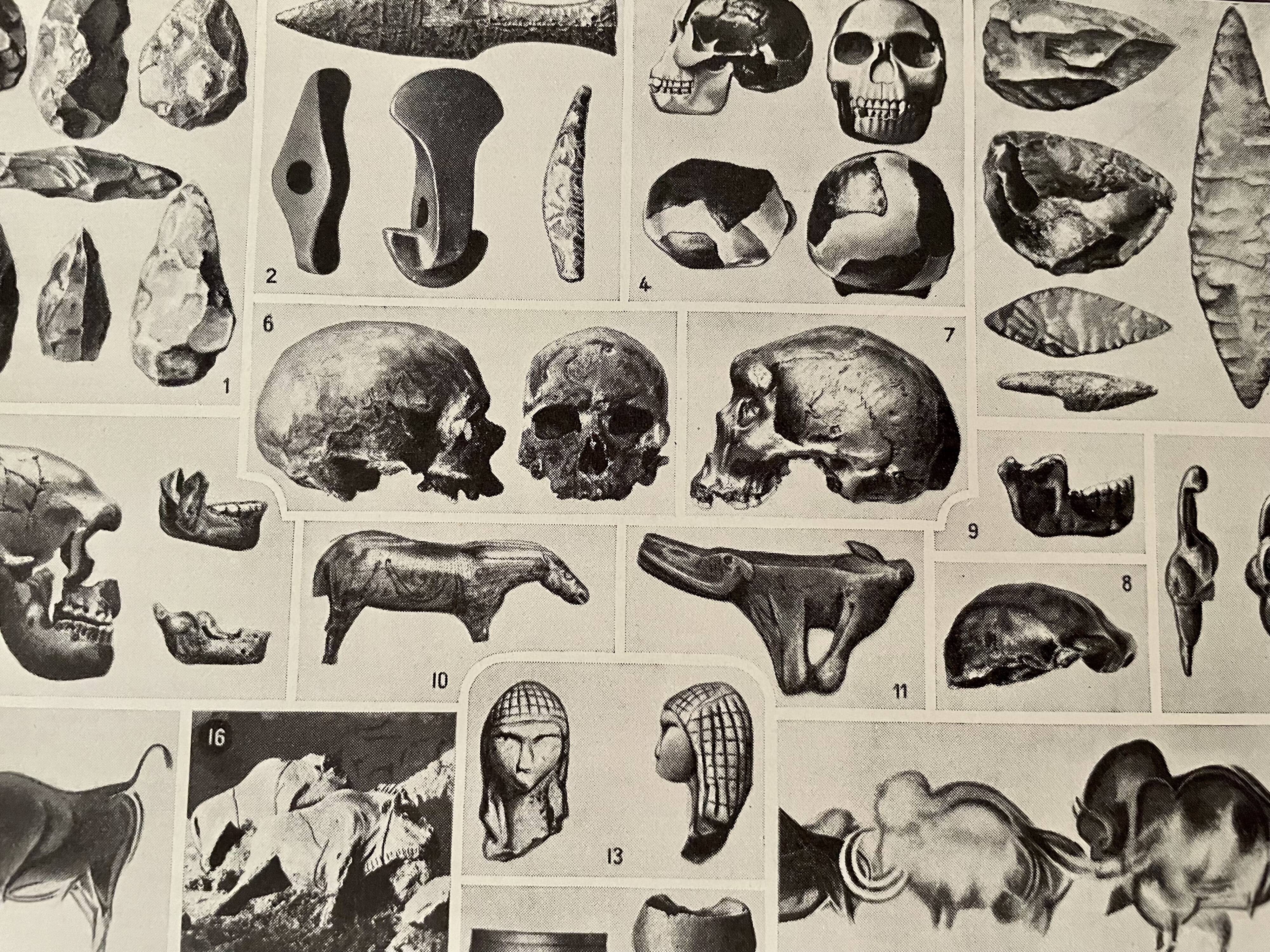 Photographic plate on the prehistory of 1928