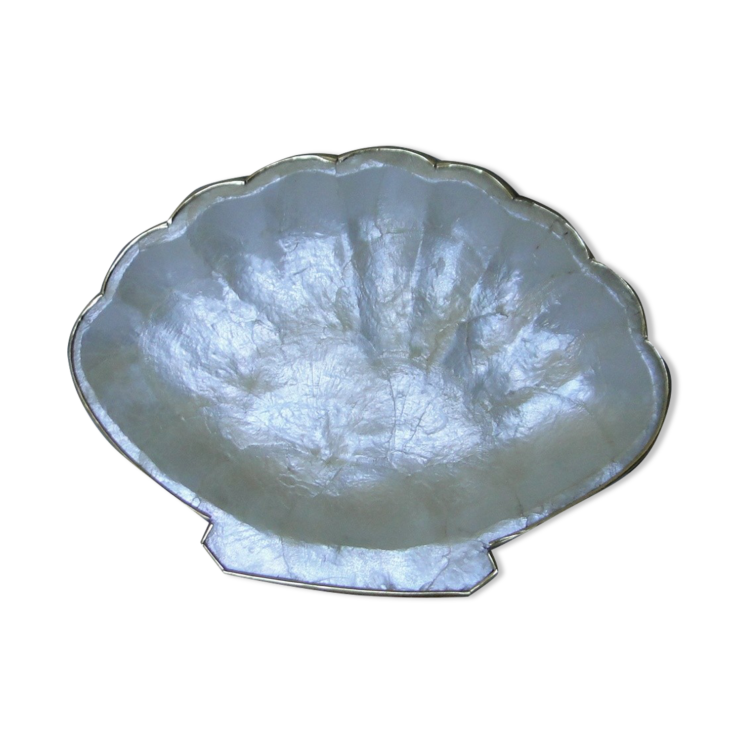 Empty pocket or soap holder in white mother-of-pearl shape scallop shell